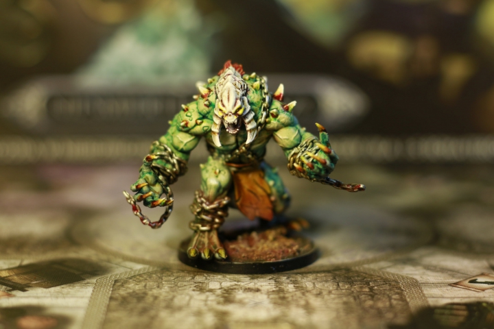 sword and sorcery painted miniatures