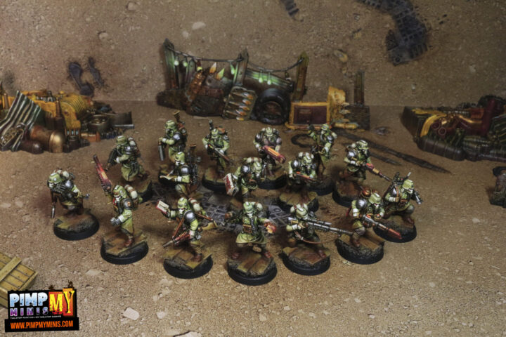 Kill Team Octarius - veteran guardsmen